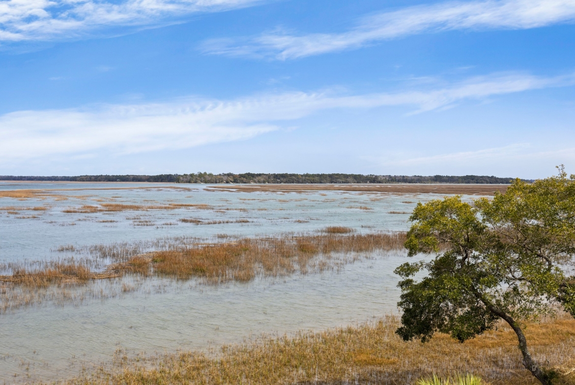 58 Lady Slipper - marsh view