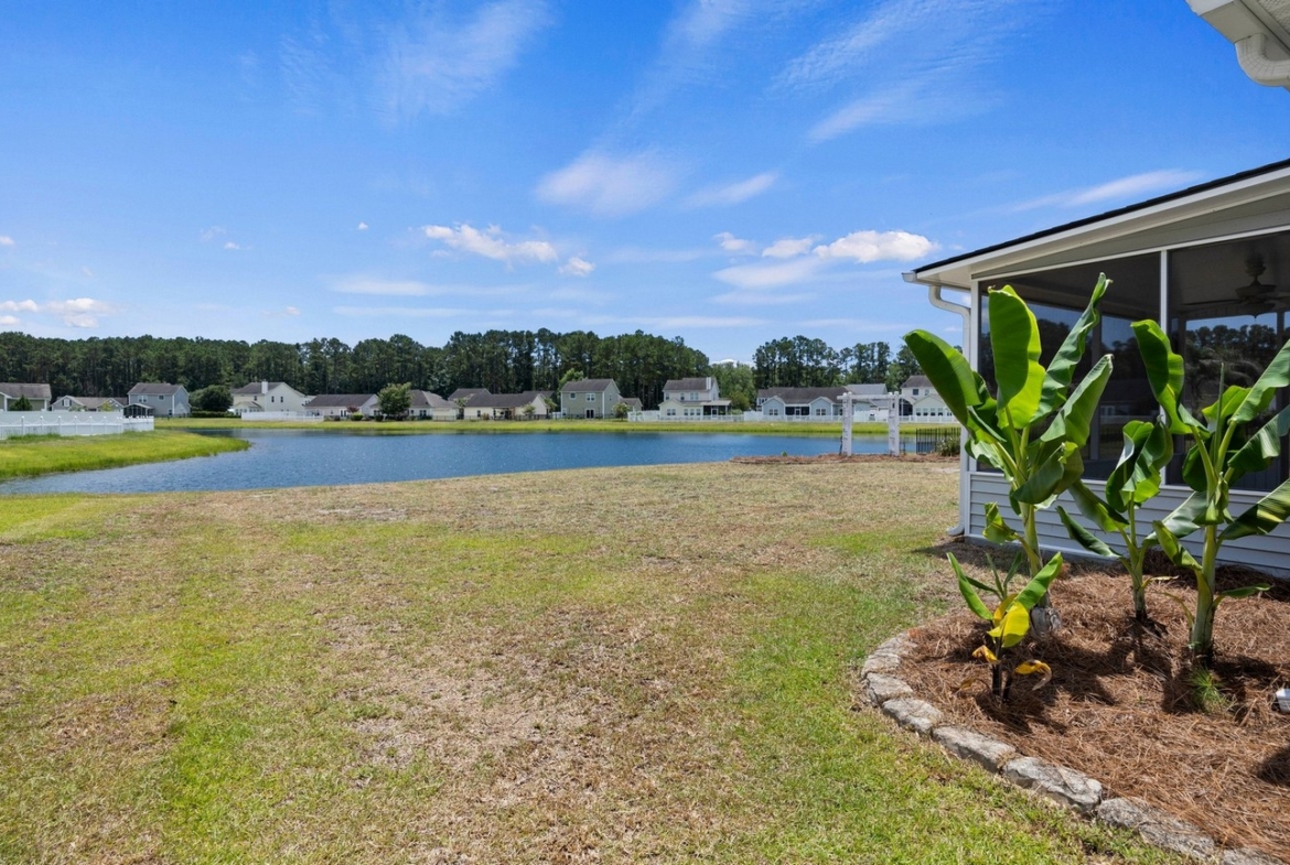24 Sand Live Oak - backyard